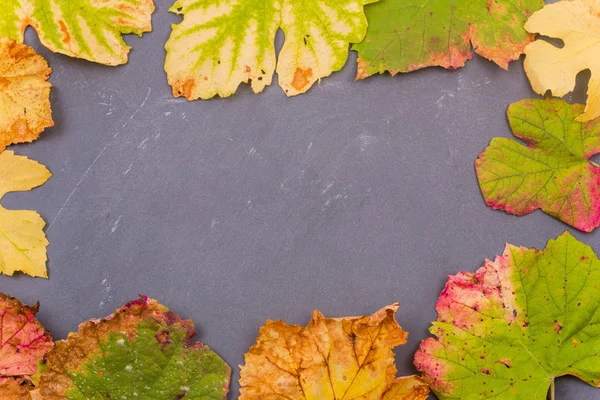 Herbst Hintergrund Blätter auf dunklem Hintergrund — Stockfoto