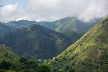 Picos de Europa