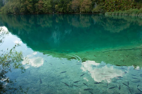 Vista en el Parque Nacional de los Lagos de Plitvice, Croacia —  Fotos de Stock