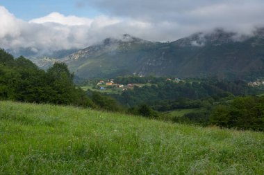 Picos de Europa
