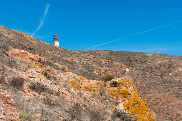 Island of Berlenga lighthouse, in Portugal — Stock Photo, Image