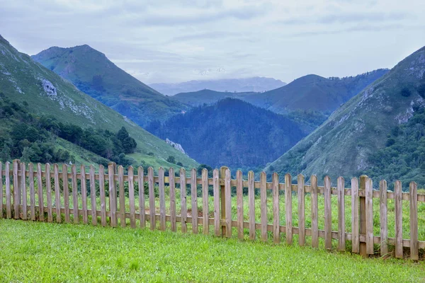 Mountains at Picos de Europa, Asturias, Spain — Stok fotoğraf