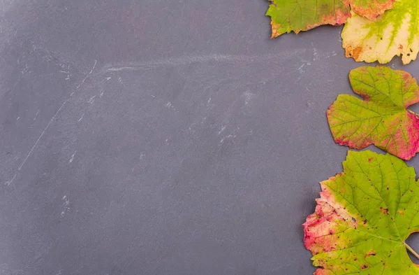Herbst Hintergrund Blätter auf dunklem Hintergrund — Stockfoto