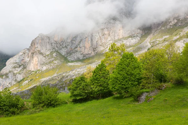 Picos de Europa — Stock fotografie