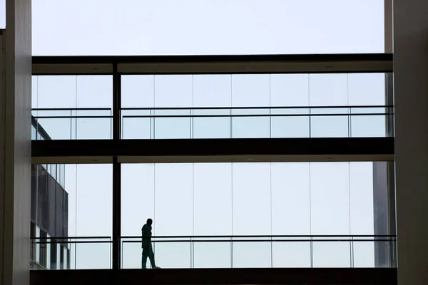 Silhouet weergave van jonge zakenvrouw in een modern gebouw — Stockfoto