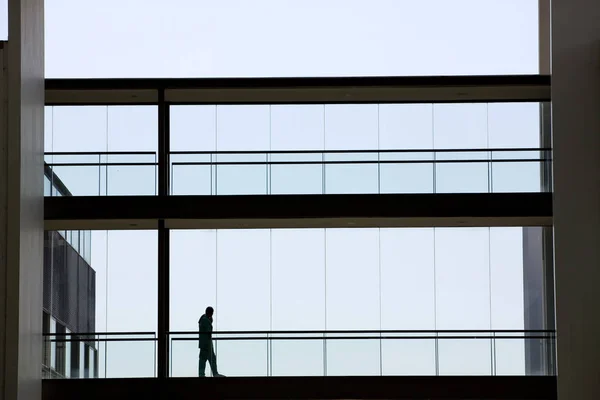 Vista silhueta de uma jovem empresária num edifício moderno — Fotografia de Stock