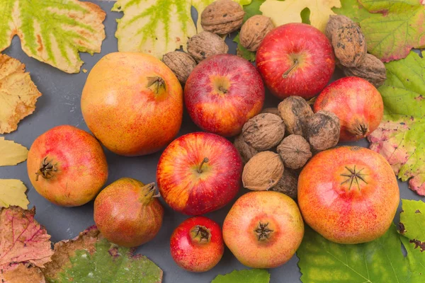 Herfst vruchten stilleven onder Bladeren — Stockfoto