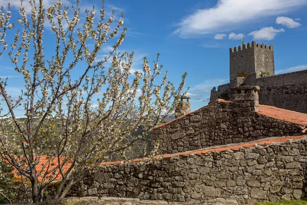 Hrad Sortelha, historická obec — Stock fotografie