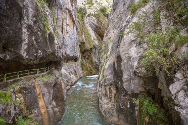 Ruta del bakımları