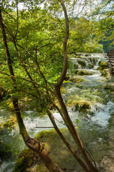 Plitvice Lakes National Park — Stock Photo, Image