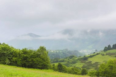 Picos de Europa