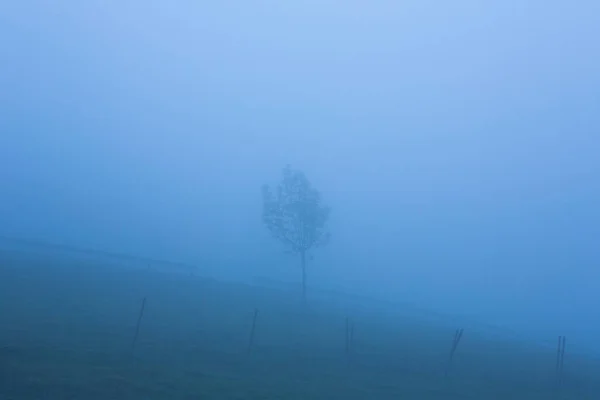 Misty morning by Lago Enol — Stock Photo, Image