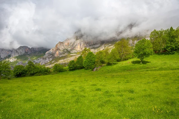 Picos de Europa — Stock Photo, Image