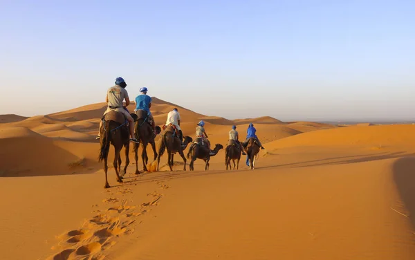 La gente está tomando camello en el desierto del sahara — Foto de Stock
