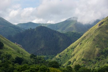 Picos de Europa