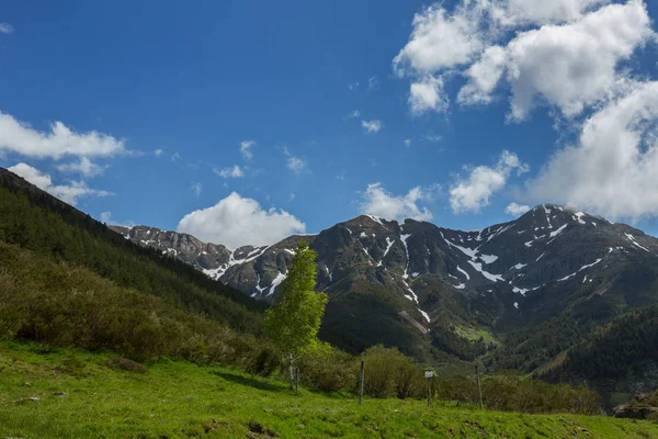 Parque Nacional Picos De Europa — Fotografia de Stock