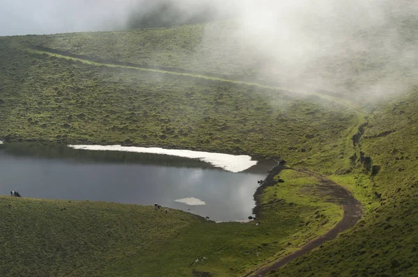 Pequeno lago entre o nevoeiro em uma manhã de maio — Fotografia de Stock