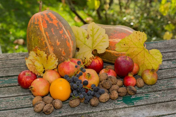 autumn fruits set