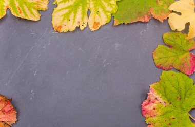 Koyu arkaplanda sonbahar yaprakları