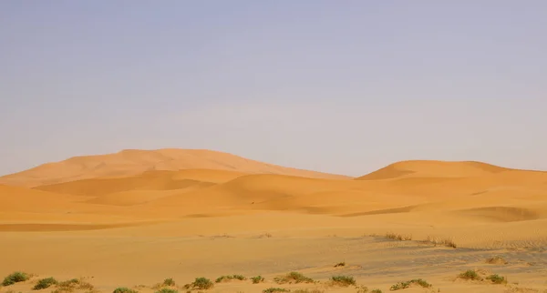 日落时分撒哈拉沙漠沙丘 — 图库照片
