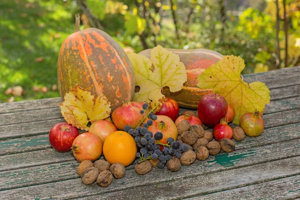 Плоды осени — стоковое фото