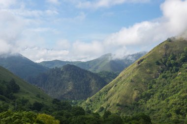 Picos de Europa