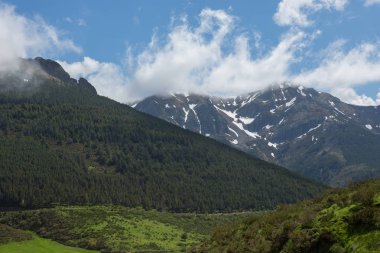 Picos de europa Milli Parkı