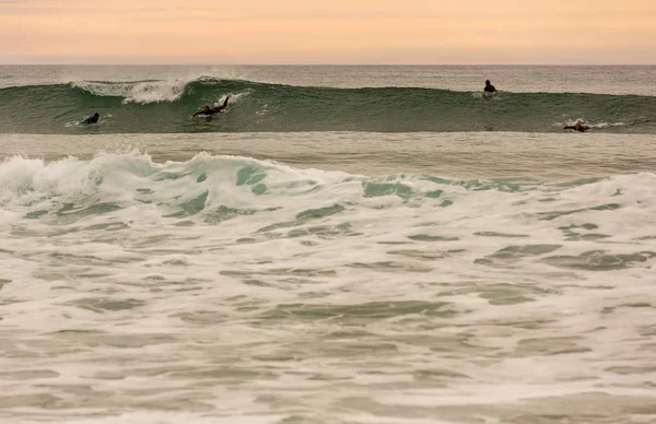 Surfista al atardecer — Foto de Stock