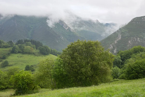 Picos de Europa — Foto de Stock