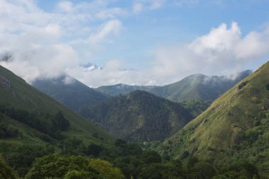 Picos de Europa