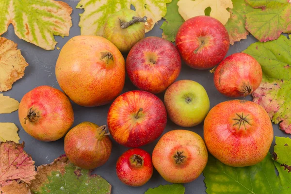 Frutti autunnali natura morta — Foto Stock