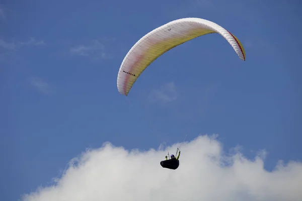 Paragliding Aboua Cup — Stock Photo, Image