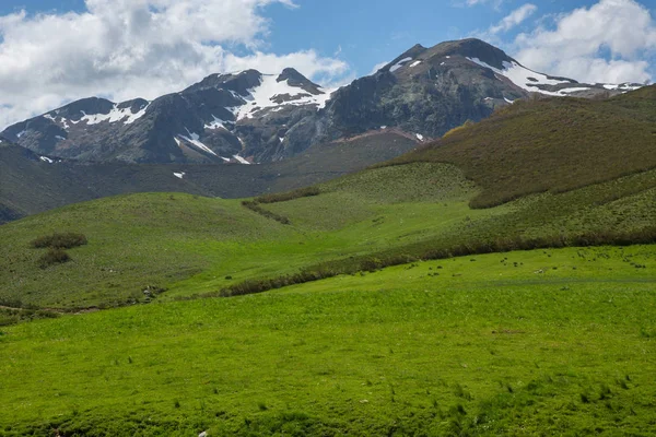 Parque Nacional Picos De Europa —  Fotos de Stock