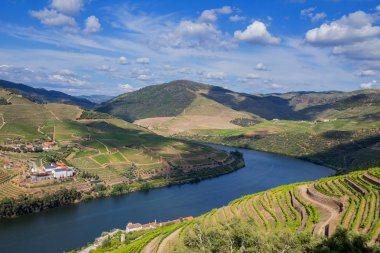 Douro Vadisi manzara