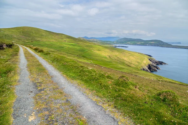 Penisola di Beara, Irlanda — Foto Stock