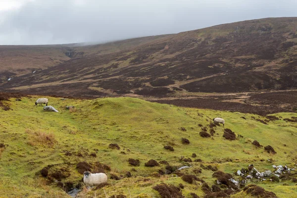 Mountains at Scottish Highlands — Stock Photo, Image