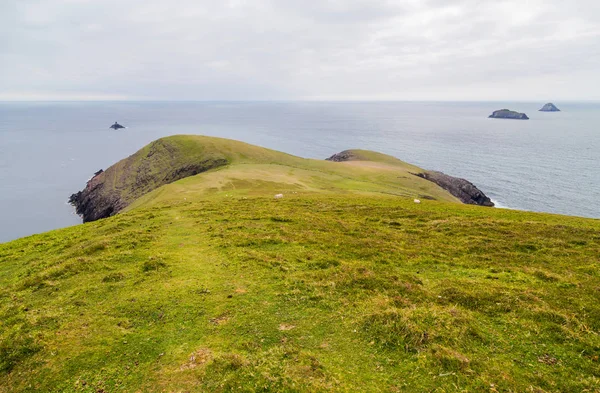 Penisola di Beara, Irlanda — Foto Stock