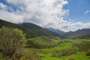 Picos de Europa