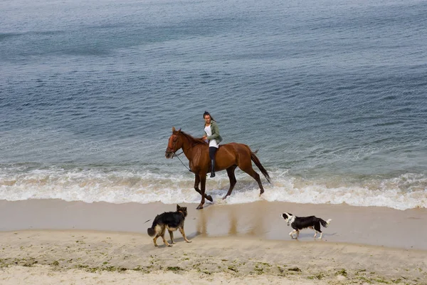 Riding a horse — Stock Photo, Image