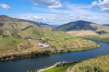 Douro Valley landscape clipart