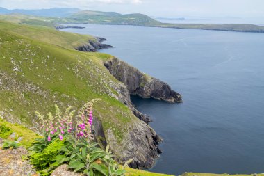 Beara peninsula, İrlanda