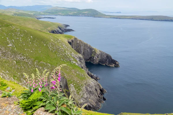 Beara peninsula, İrlanda