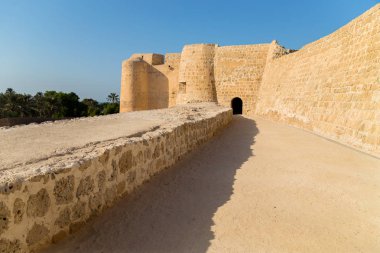 Eski Arad Fort