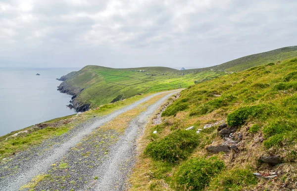 Penisola di Beara, Irlanda — Foto Stock