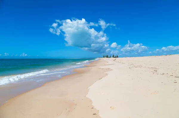 Pláž v Mosambiku — Stock fotografie