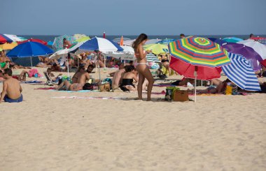 Manta Rota