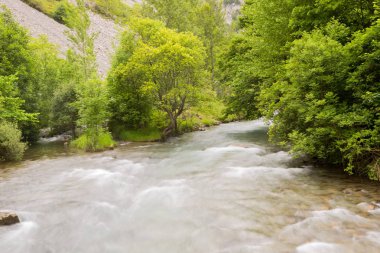 Cares Nehri 'nde şelale