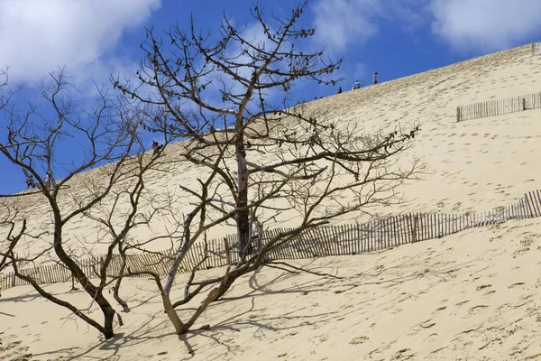 Pyla sur mer — Stockfoto