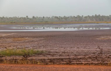 Bissau dışında pirinç tarlaları yazın, Gine-Bissau