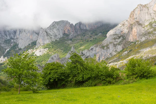 Vista Los Campos Montañas Picos Europa Asturias España —  Fotos de Stock
